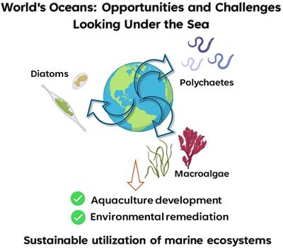 Editorial: World’s oceans: opportunities and challenges looking under the sea
